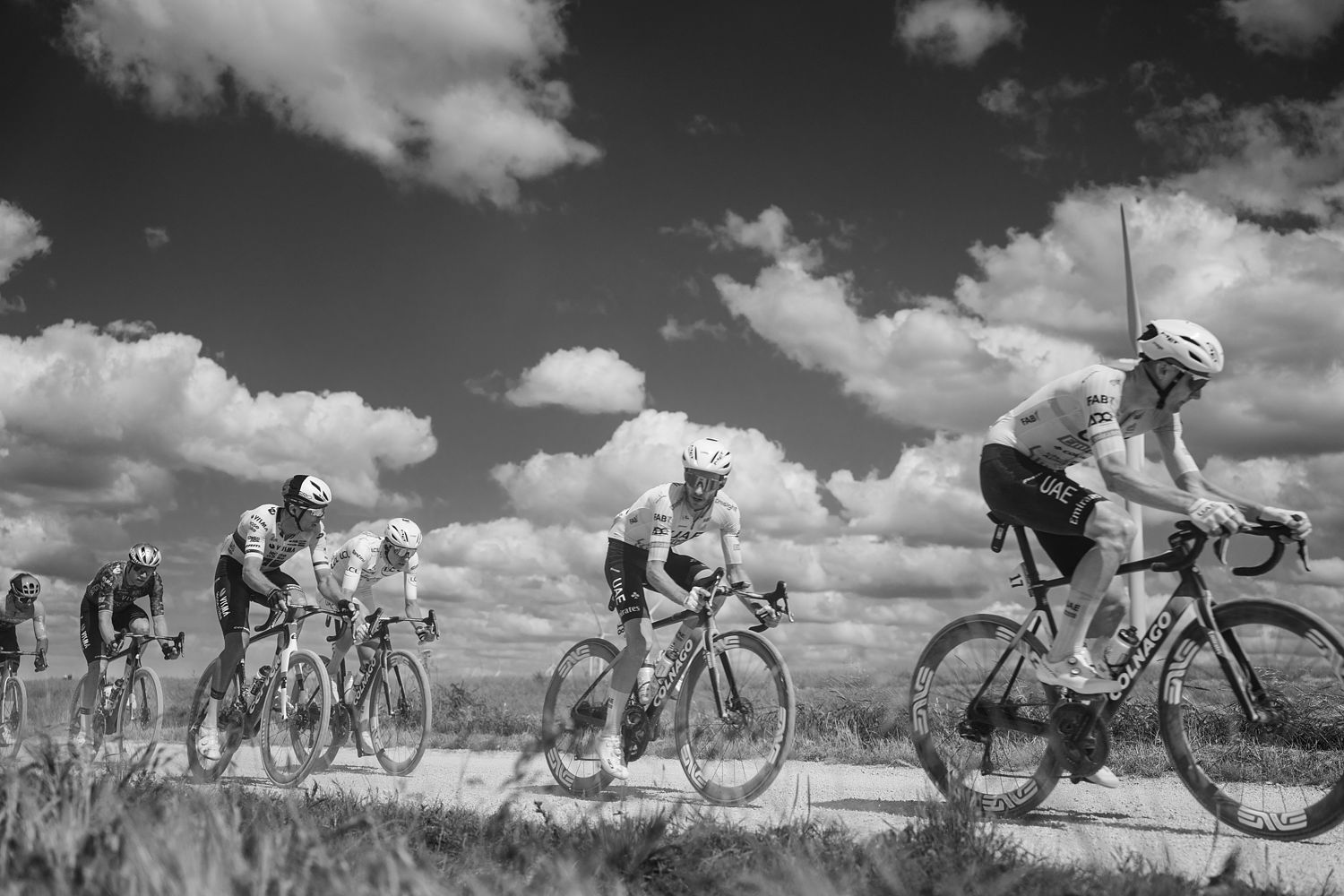 Cycling – TDF2024 – 02